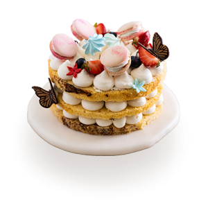 Tart Cake — Round Macaron
