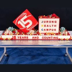 Jurong Health Campus 3D Cake