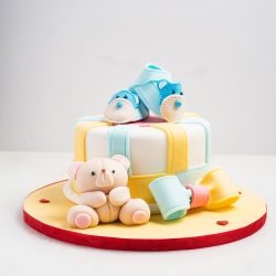 Newborn Celebration Cake