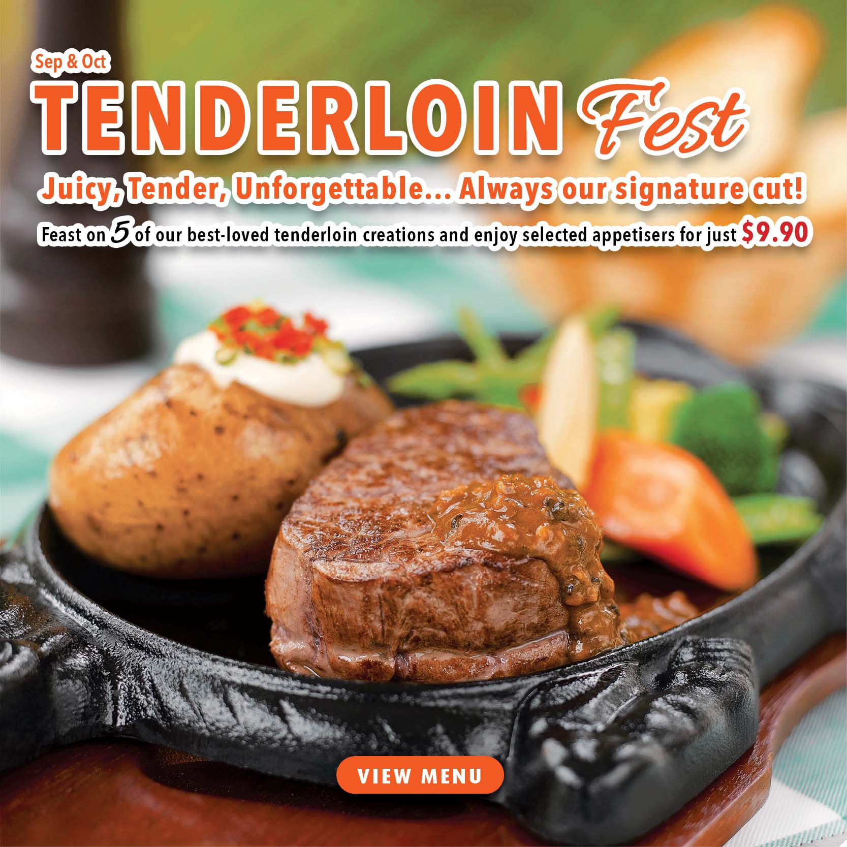 Tenderloin Fest Banner